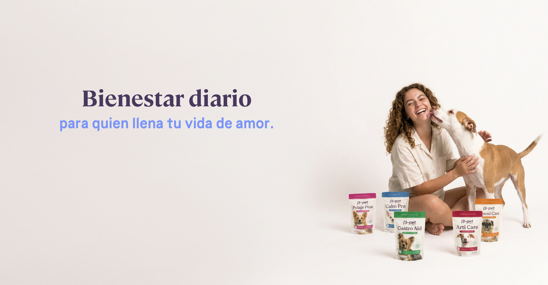 bienestar para perros con glucosamina y condroitina