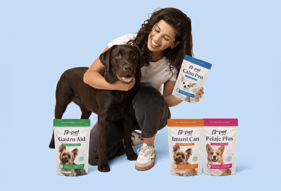 Guía completa para entender el sistema digestivo de tu perro