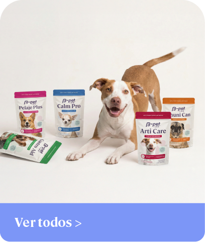 Todos los suplementos
