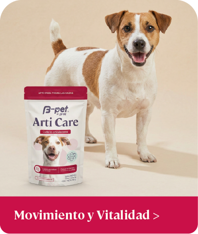 Movimiento y Vitalidad