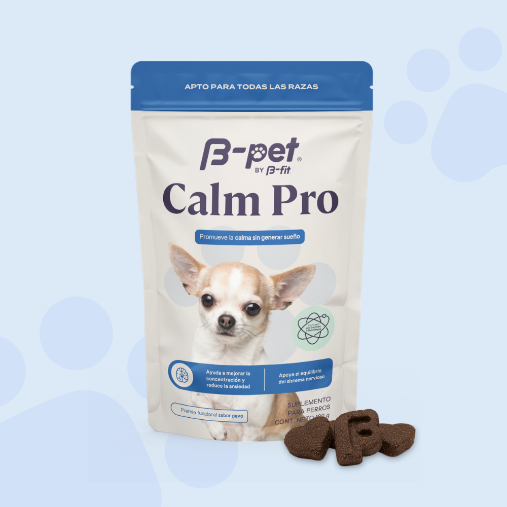 Calm Pro | Relajación