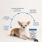 Calm Pro