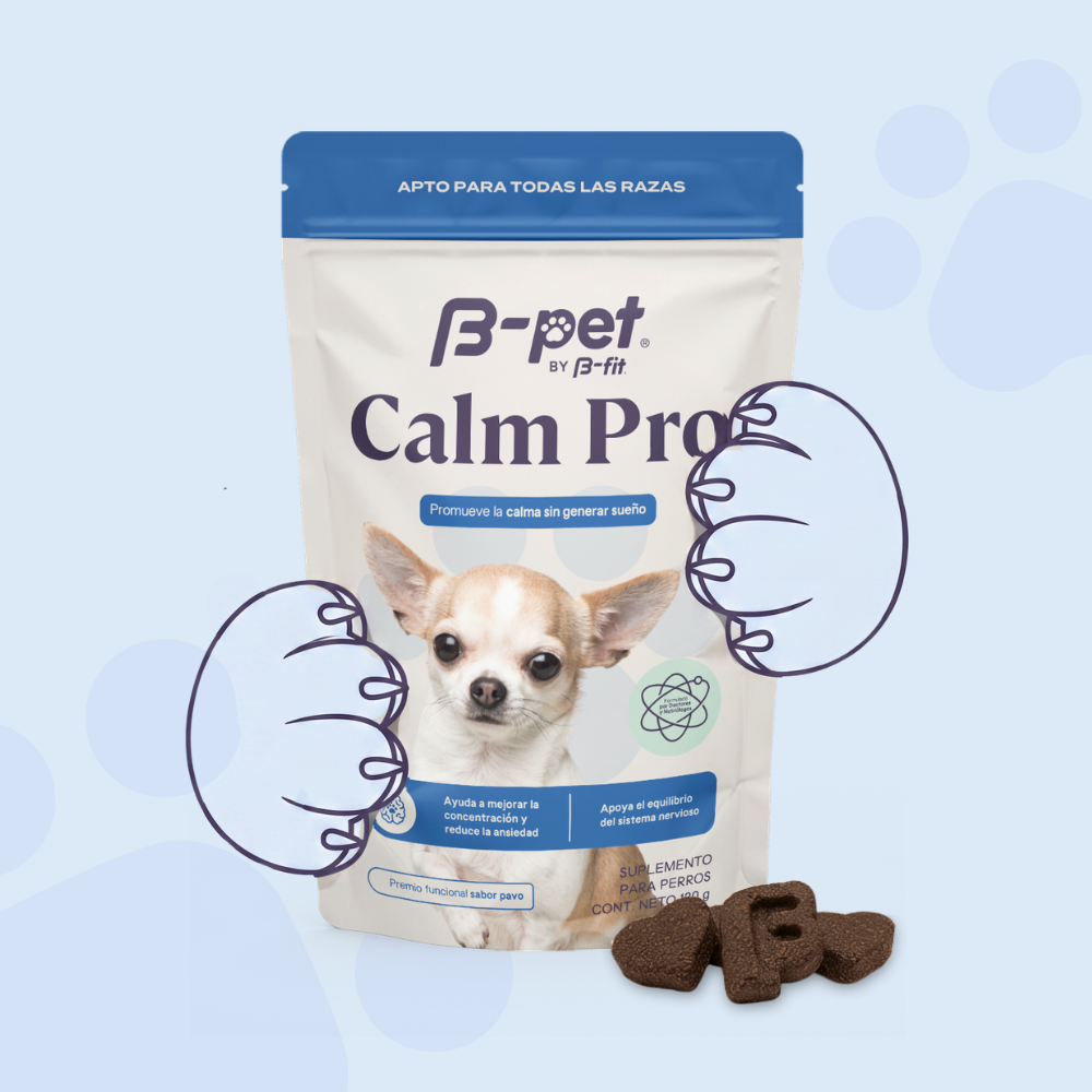 Calm Pro | Relajación