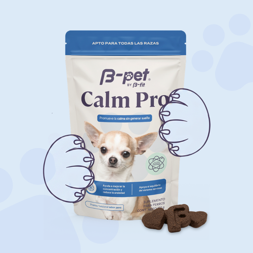 Calm Pro | Relajación