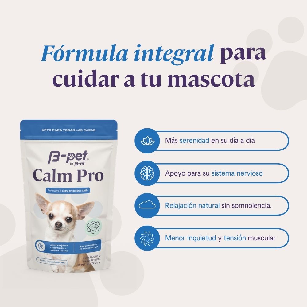 Calm Pro | Relajación