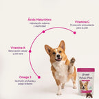 Kit Mobility: Arti Care + Pelaje Plus