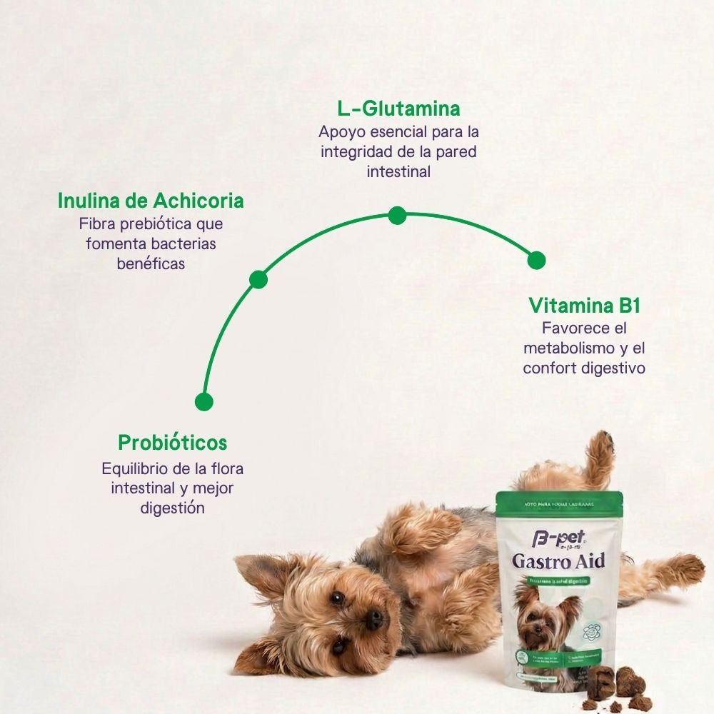 Gastro Aid | Salud digestiva