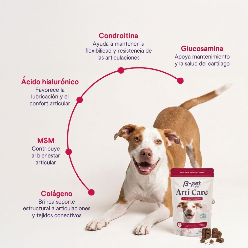Arti Care | Salud articular