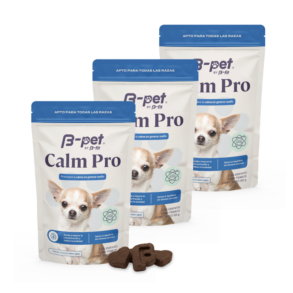 Calm Pro | Relajación