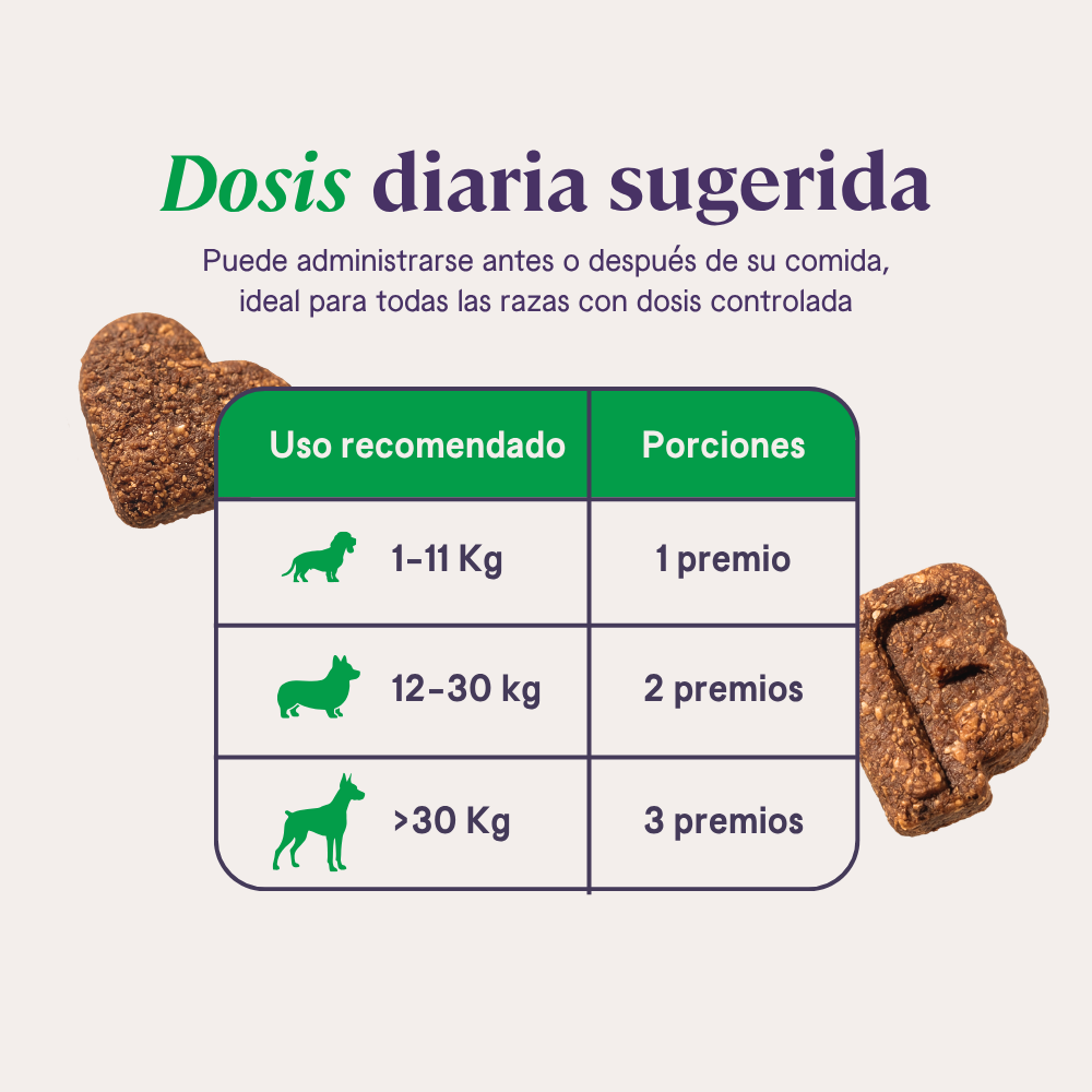 Gastro Aid